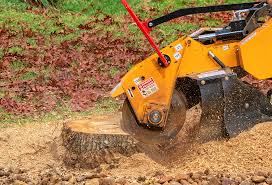 Best Lawn Fertilization  in Kingsland, TX